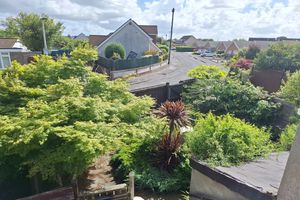 Garden - click for photo gallery